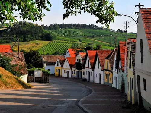 Vrbovec – devátá největší vinařská obec České republiky