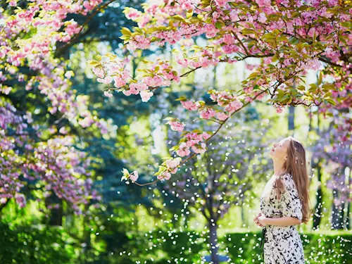 15 tipů na jarní procházku arboretem