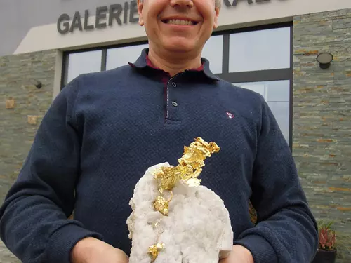 Nejkrásnější zlato z Californie – Galerie minerálů Dvůr Králové nad labem