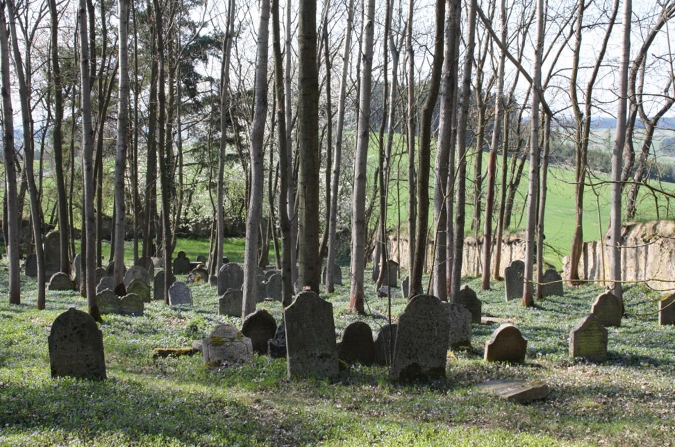Židovský hřbitov v Telicích