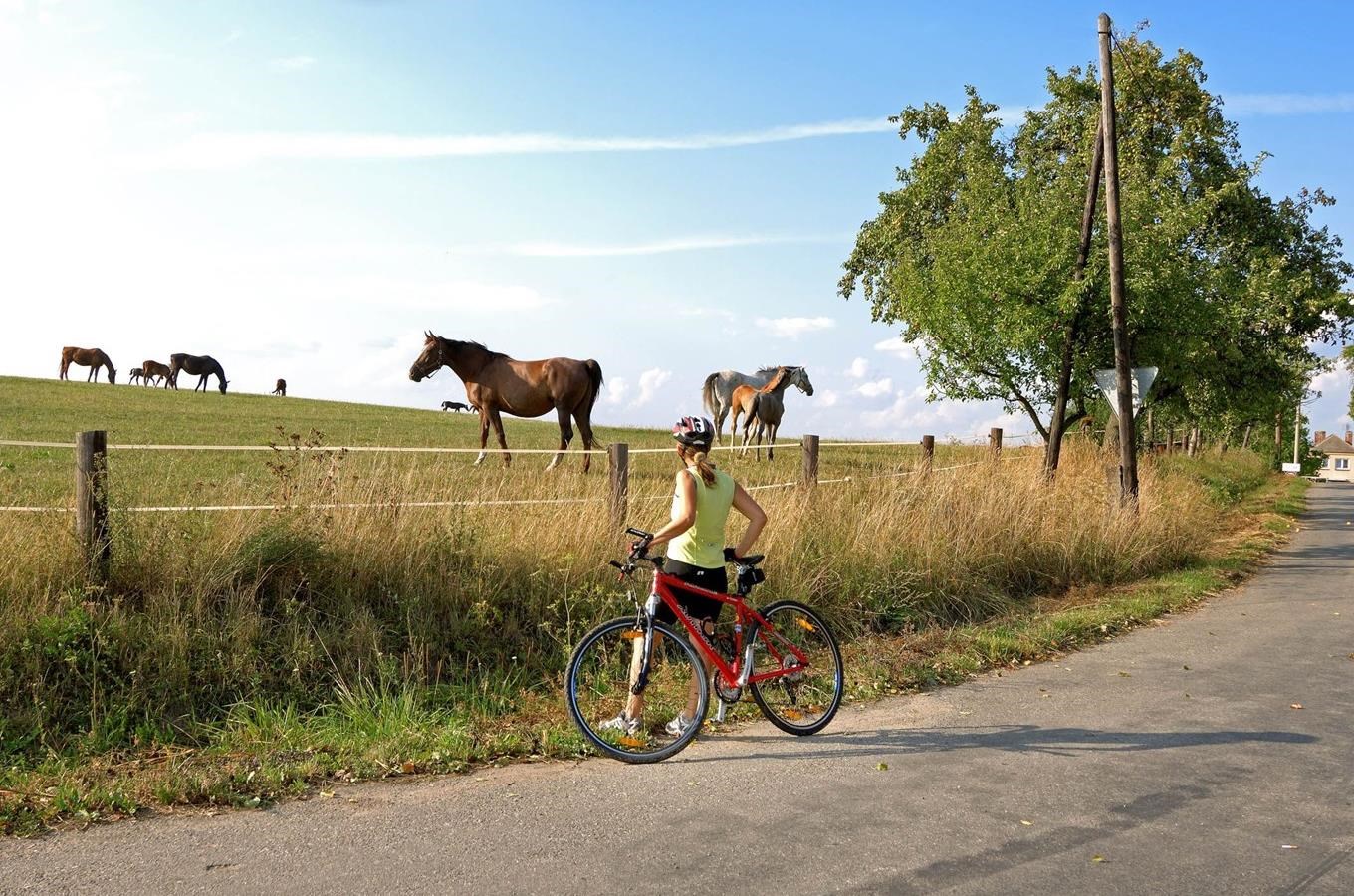 Cykloturistika v Ceskomoravském pomezí