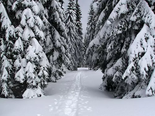 Mapu, sněžnice a hole na půjcení najdou turisté v informačním centru Modravy