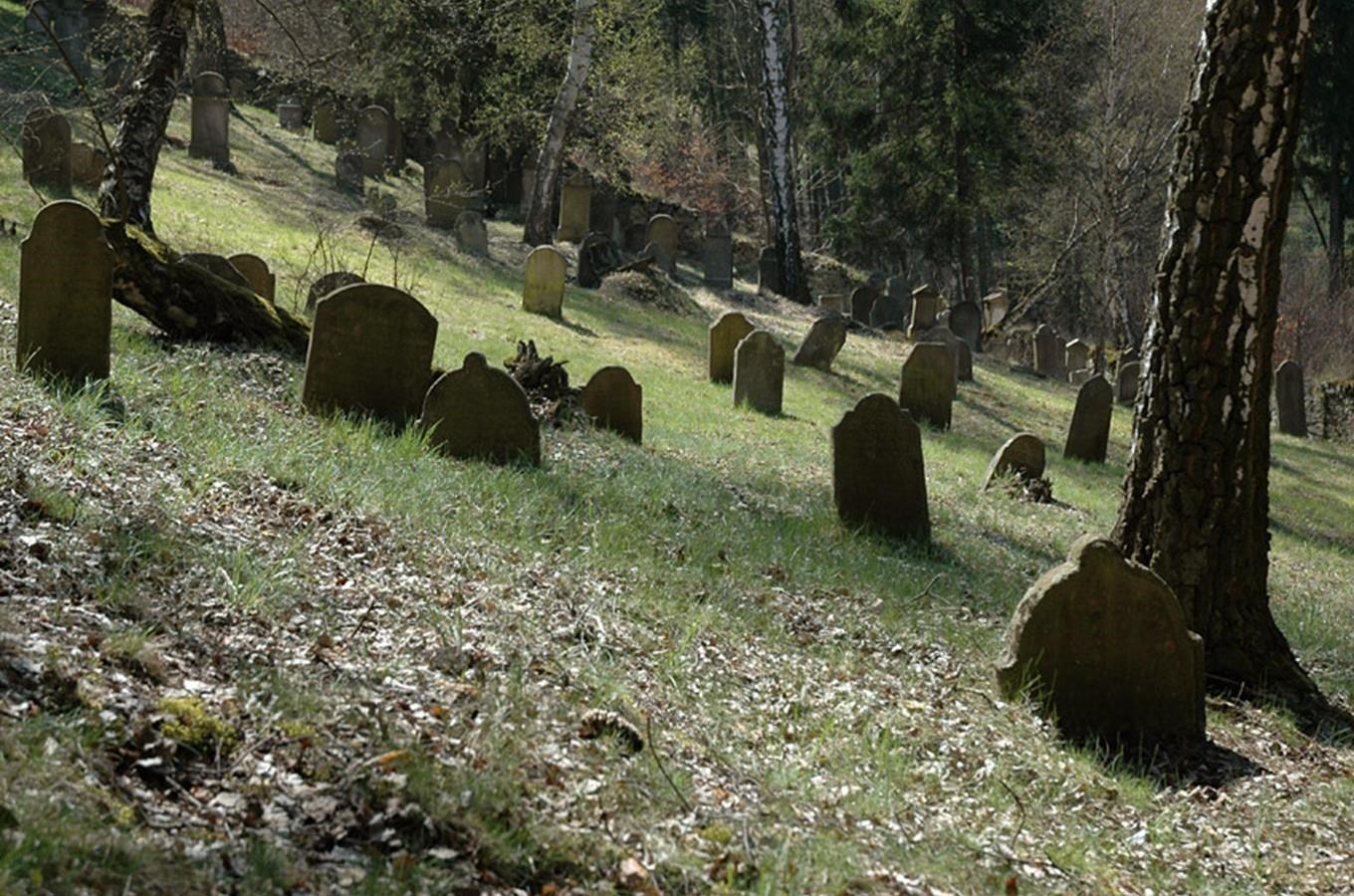 Židovský hřbitov Ošelín - Řebří