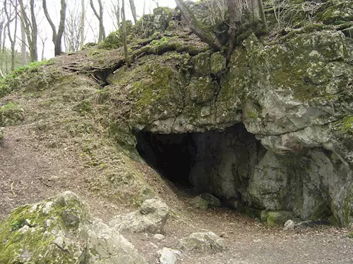 Jeskyně Netopýrka