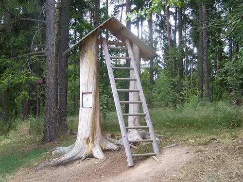 Cesta pohádkovým lesem u Slavonic – turistická trasa pro děti