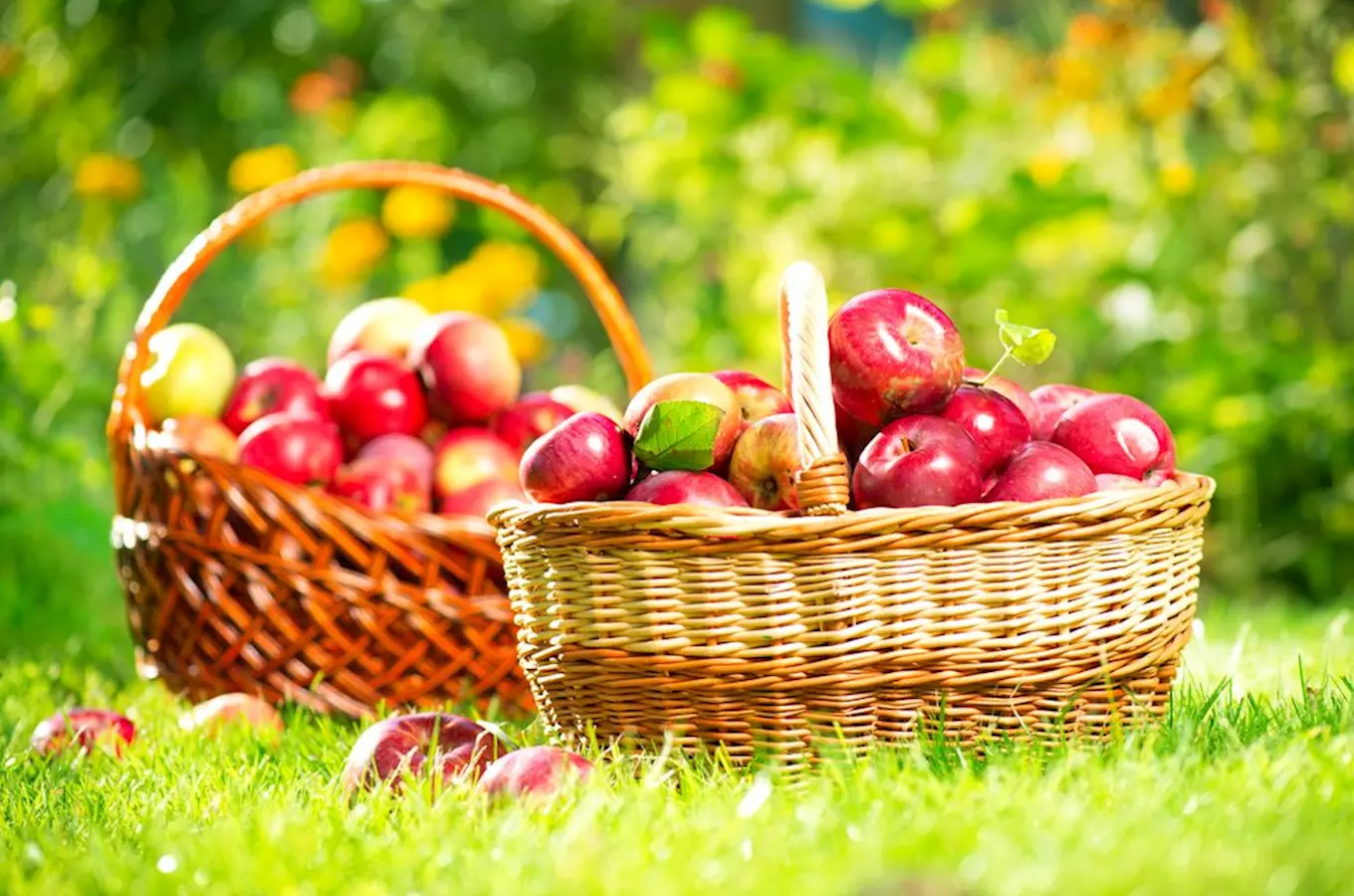 Na Krásném Dvoře proběhne tradiční Jablečný den