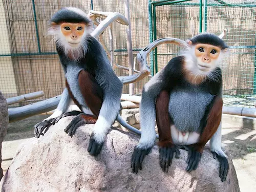Zoo Chleby – první zoologická zahrada ve Středočeském kraji
