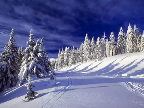 Krkonoše – lyžařský běžecký ráj