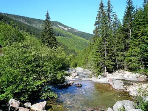 #světovéČesko a údolí Bílého Labe: lesy, vodopády a všechny krásy Krkonoš