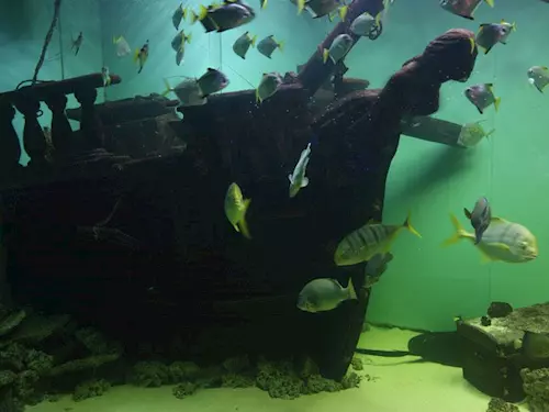 Zoo Mořský svět – největší mořské akvárium v České republice