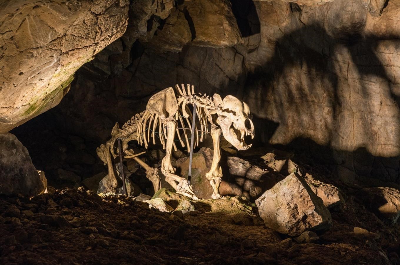 Kateřinská jeskyně – nejrozlehlejší dómy v Moravském krasu
