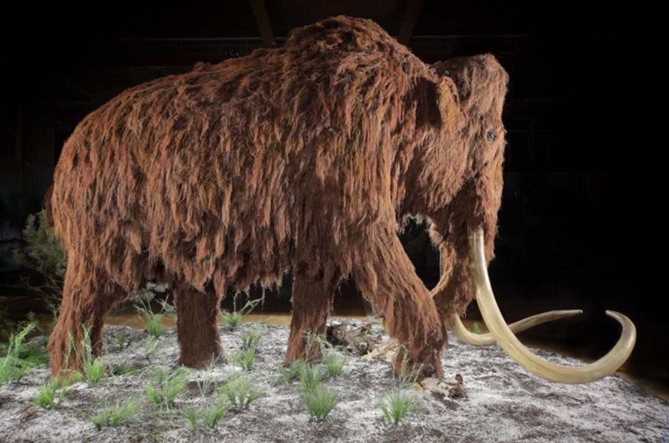 Prehistorictí giganti z doby ledové zaplní prostory OC Šestka v Ruzyni