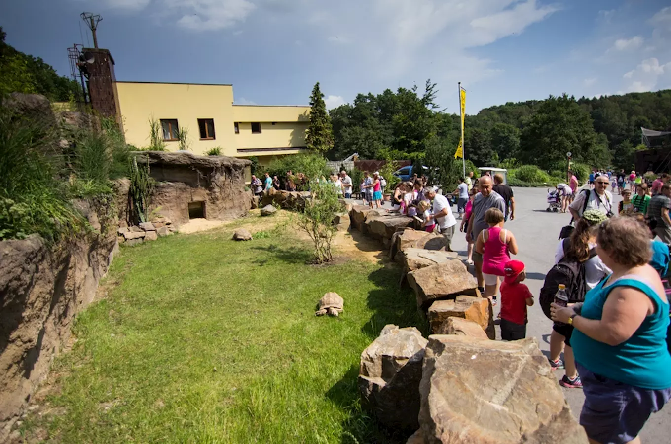 Léto v ostravské zoo - nové expozice, rekordní návštěvnost a 4000 zvířat