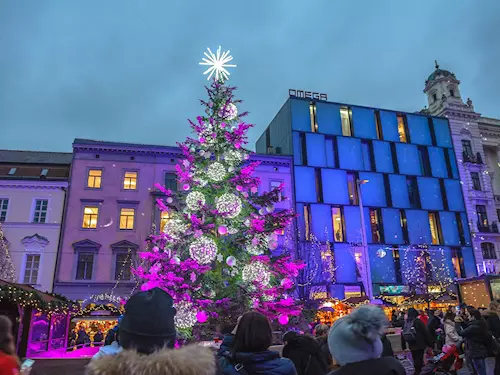 Rozsvícení vánočního stromu v Brně 2022