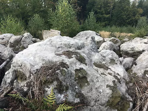 Zkamenělá řeka u Nejpína na Vysočině