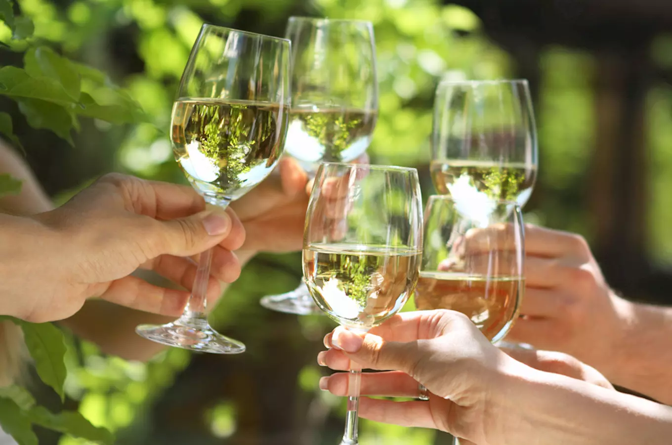 Slavnostní vyhlášení výsledků Národní soutěže vín vinařské oblasti Čechy