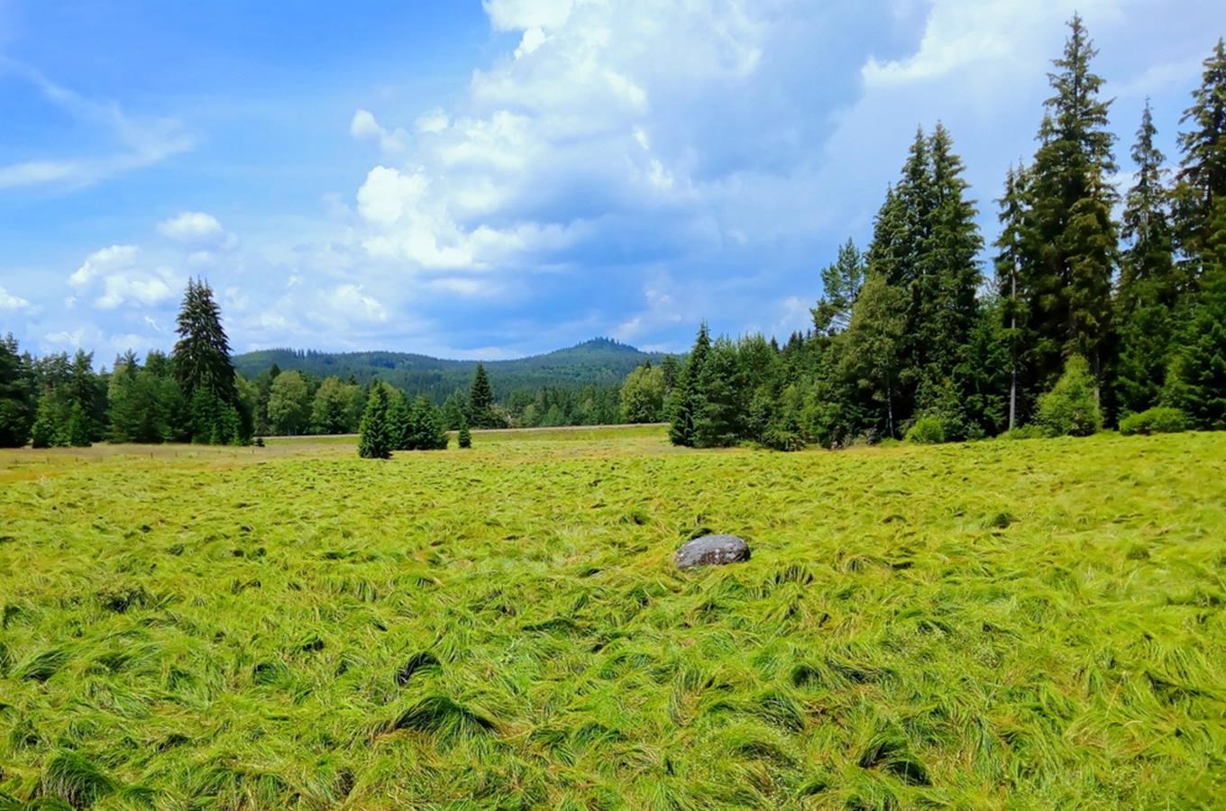 Národní park Šumava – největší národní park v České republice