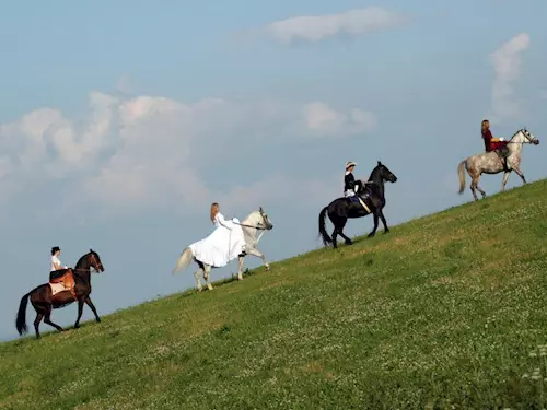 Koňský víkend u přehrady Orlík – pobyt na farmě Čapí letka 