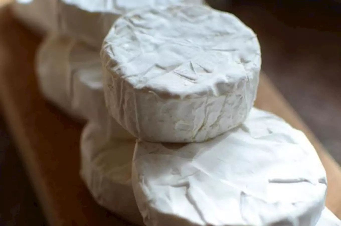 Velká sýrová nakládačka slibuje dnes na Vyšehradě mnoho vizuálních i chuťových zážitků