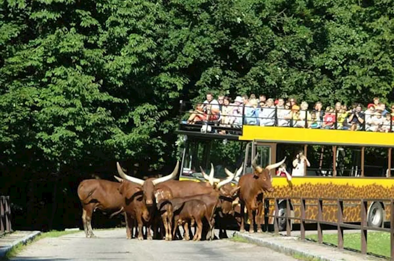 Zoo Dvur Králové nad Labem dnes zahajuje sezonu