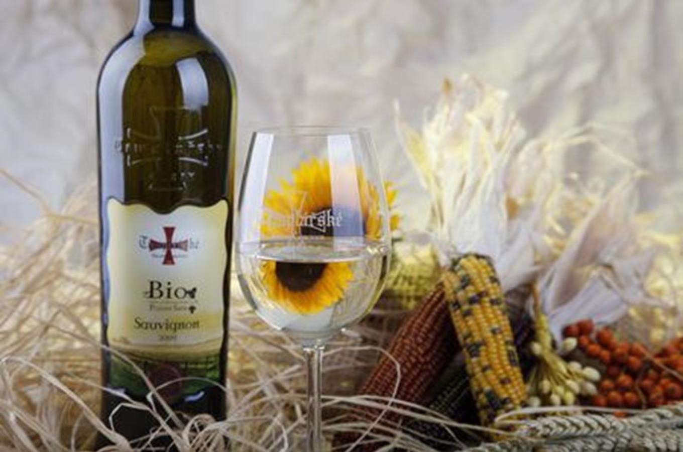 Nová rada Bio vín z Cejkovic pro zdravý životní styl