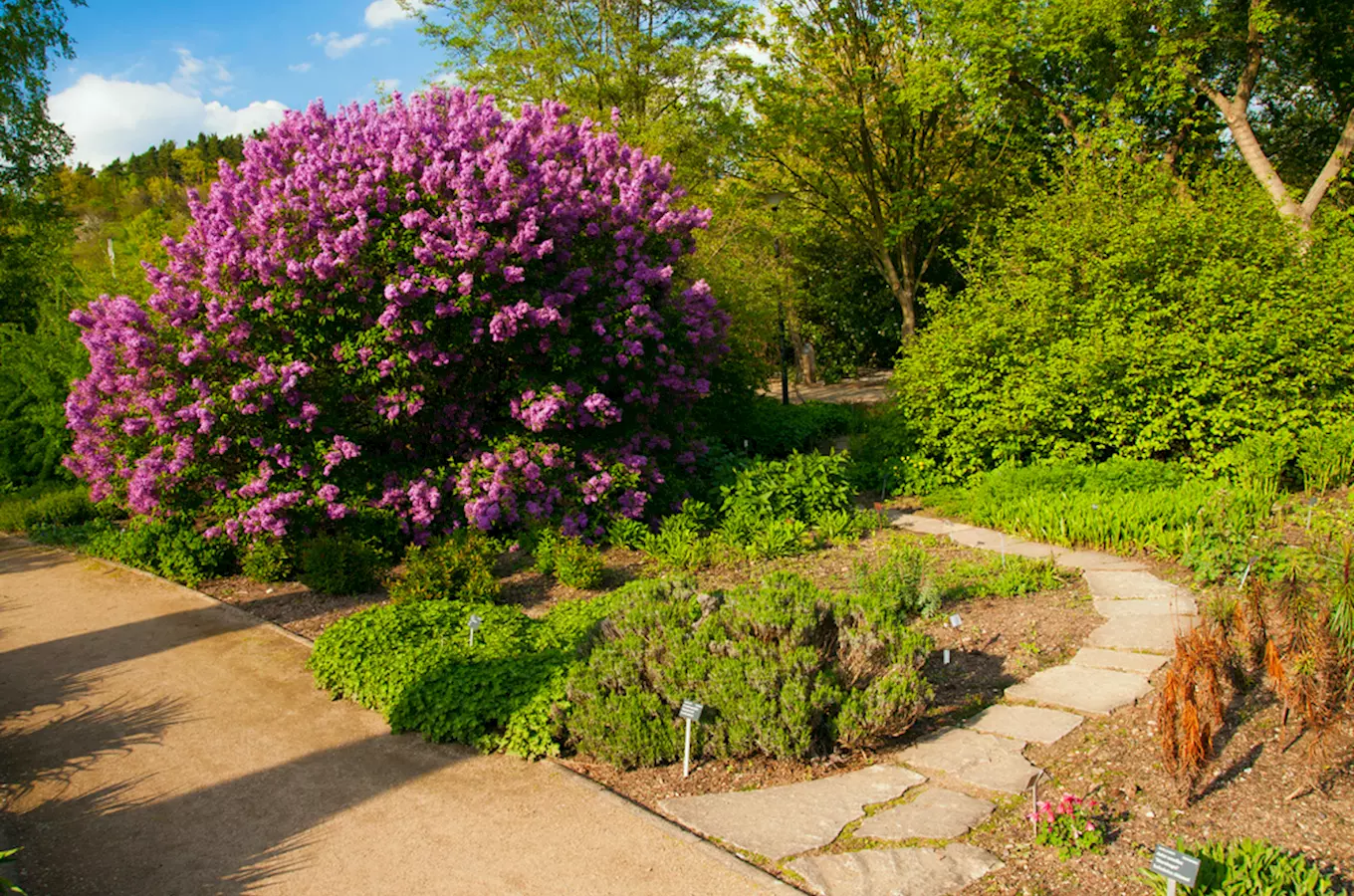 Oslavte První máj v trojské botanické zahradě polibkem i výpravou za motýly