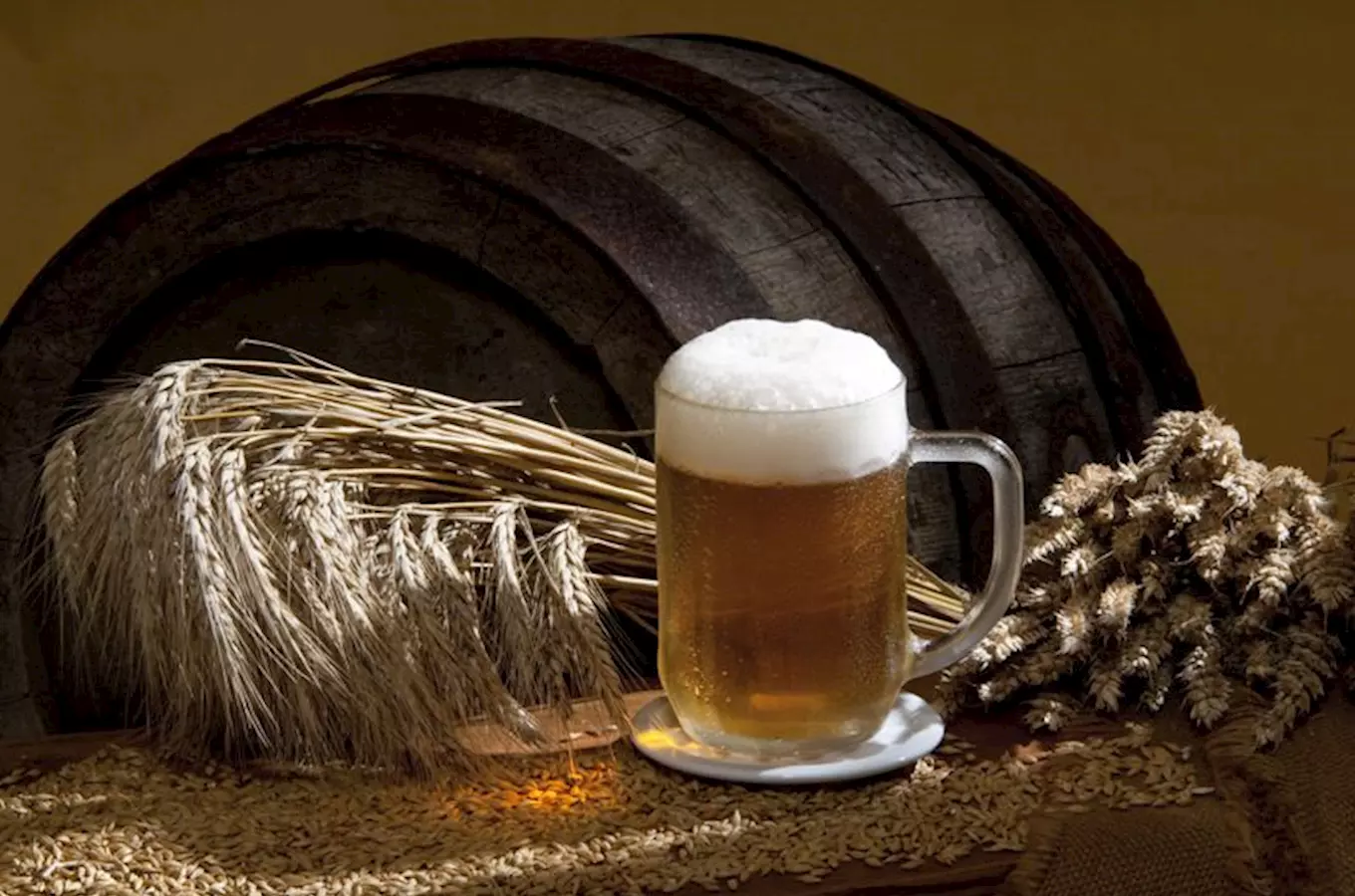 Na jižní Moravě se otevírá první muzeum pivovarnictví
