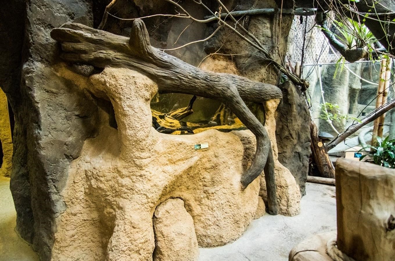 Zoo Ostrava otevřela nové expozice v Pavilonu evoluce 