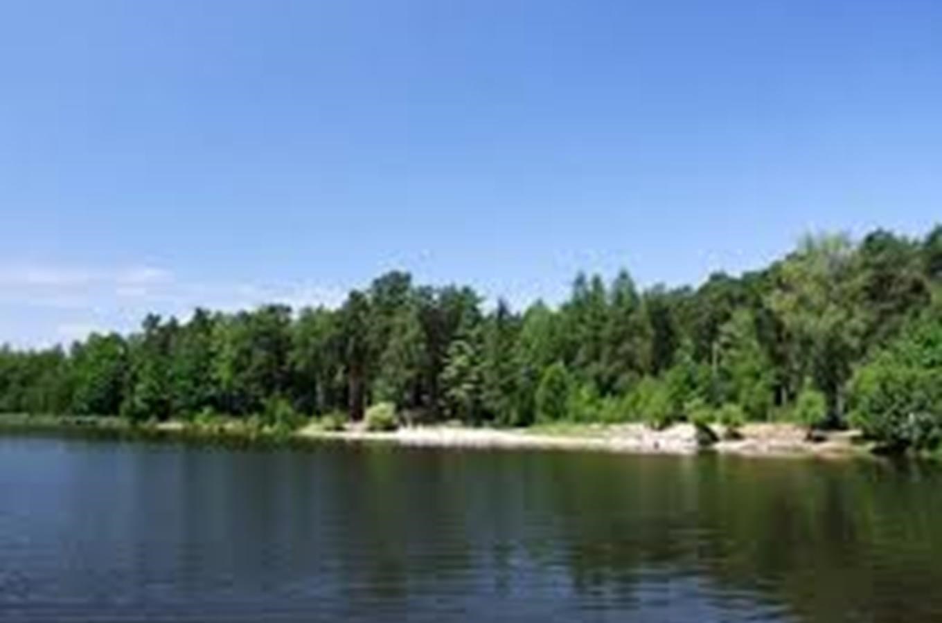 Šidlovský rybník v Plzni 
