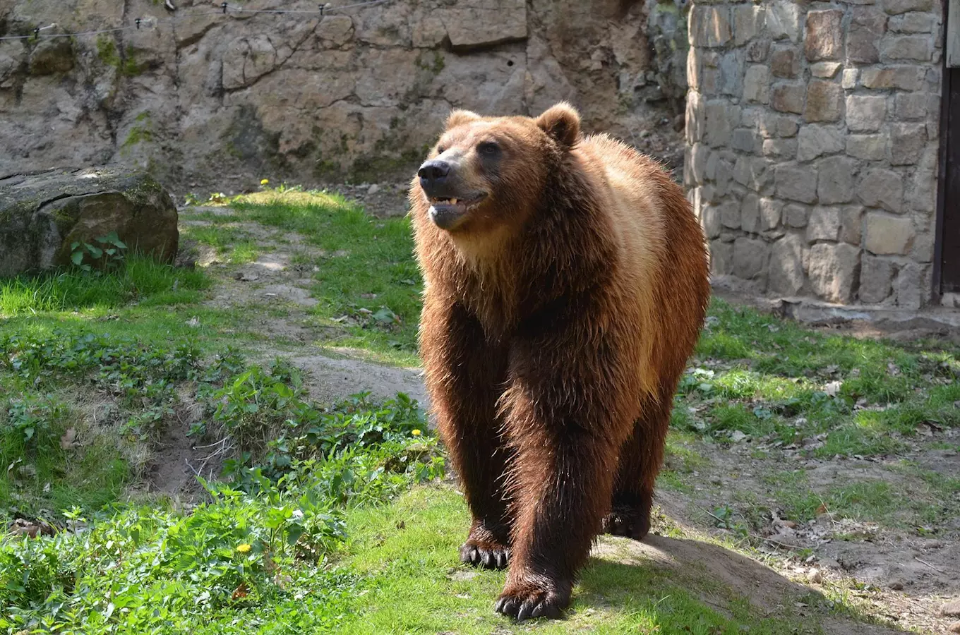 Zoo Děčín se rozloučí s prázdninami pohádkově