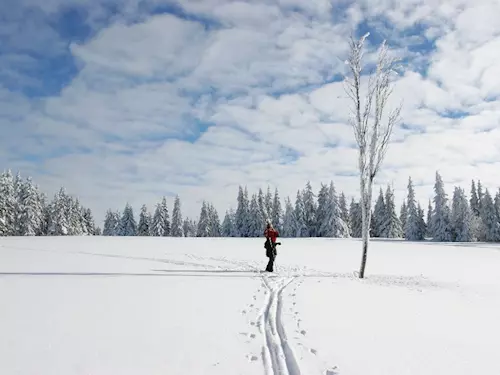 Skialpinistické trasy okolím Pece pod Sněžkou