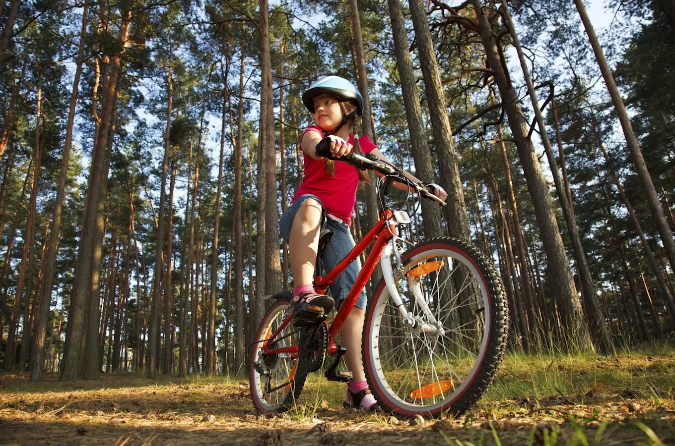 Rodiny s detmi si užijí nové lesní trasy na Rychlebských stezkách