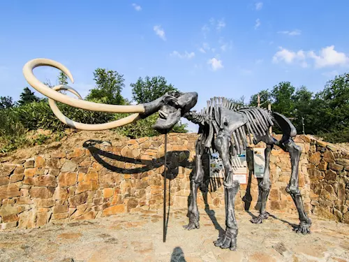 Model mamuta v životní velikosti v Zoo Ostrava