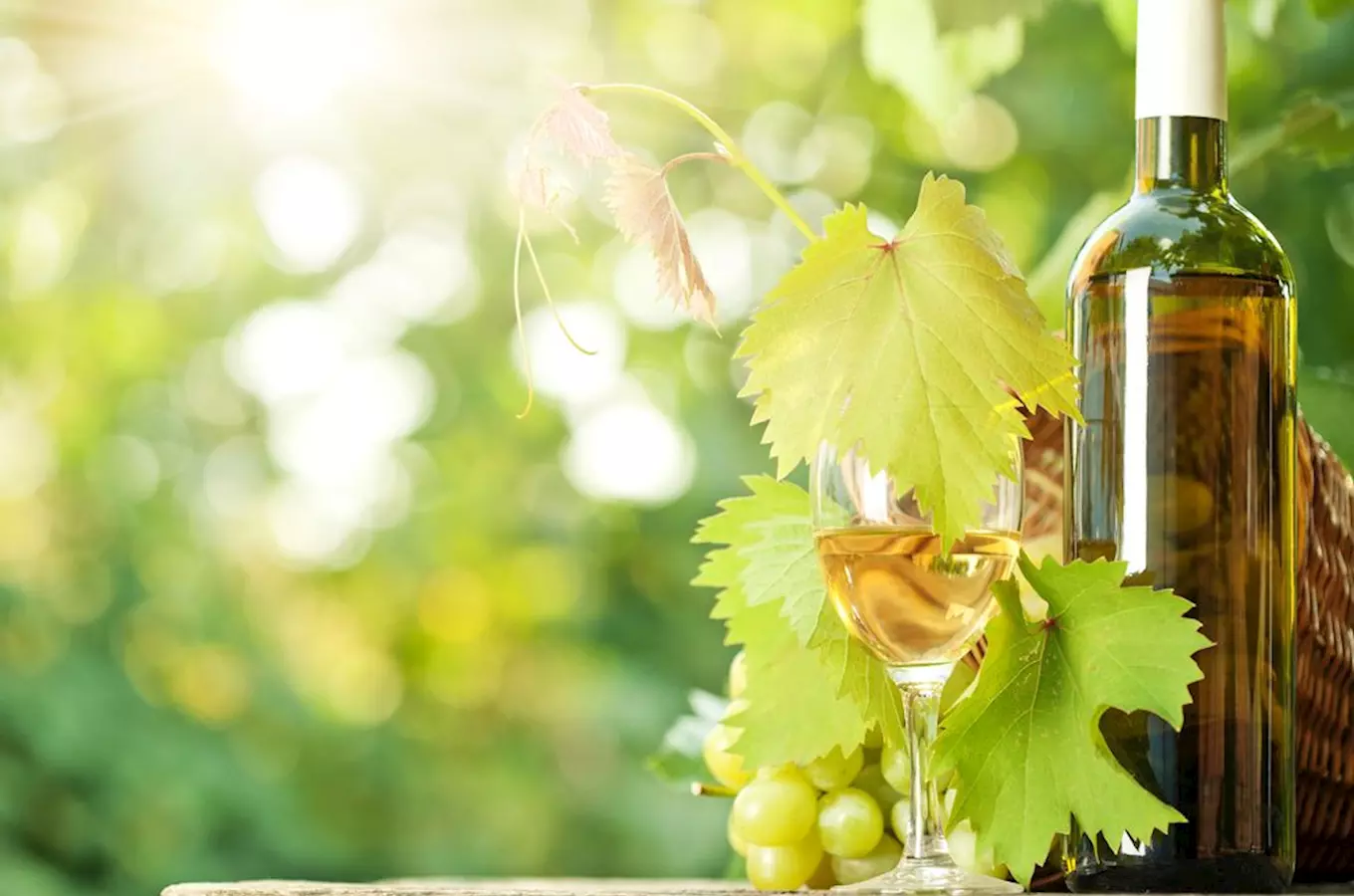 Rulandské bíle ze Zámeckého vinařství Bzenec je nejlepším vínem České republiky