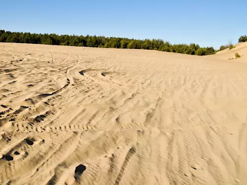Váté písky u Bzence – moravská Sahara