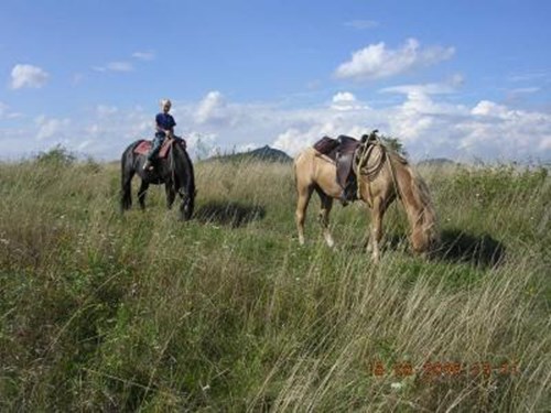 Katty´s Ranch – vyjížďky na koních v Podkrkonoší