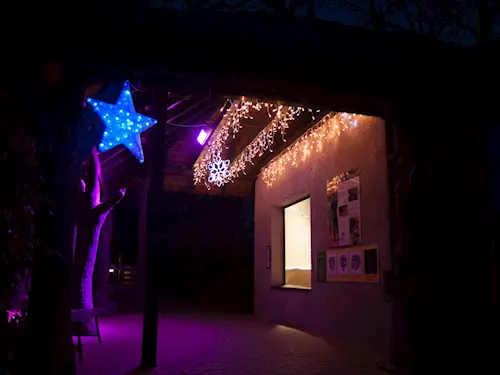 Vánočně nasvícená Zoo Hluboká