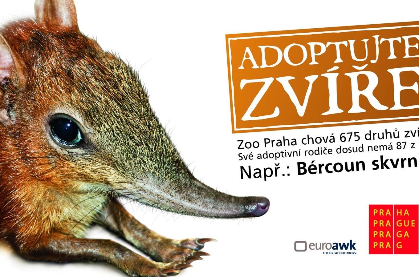 Adoptujte zvíre v pražské ZOO