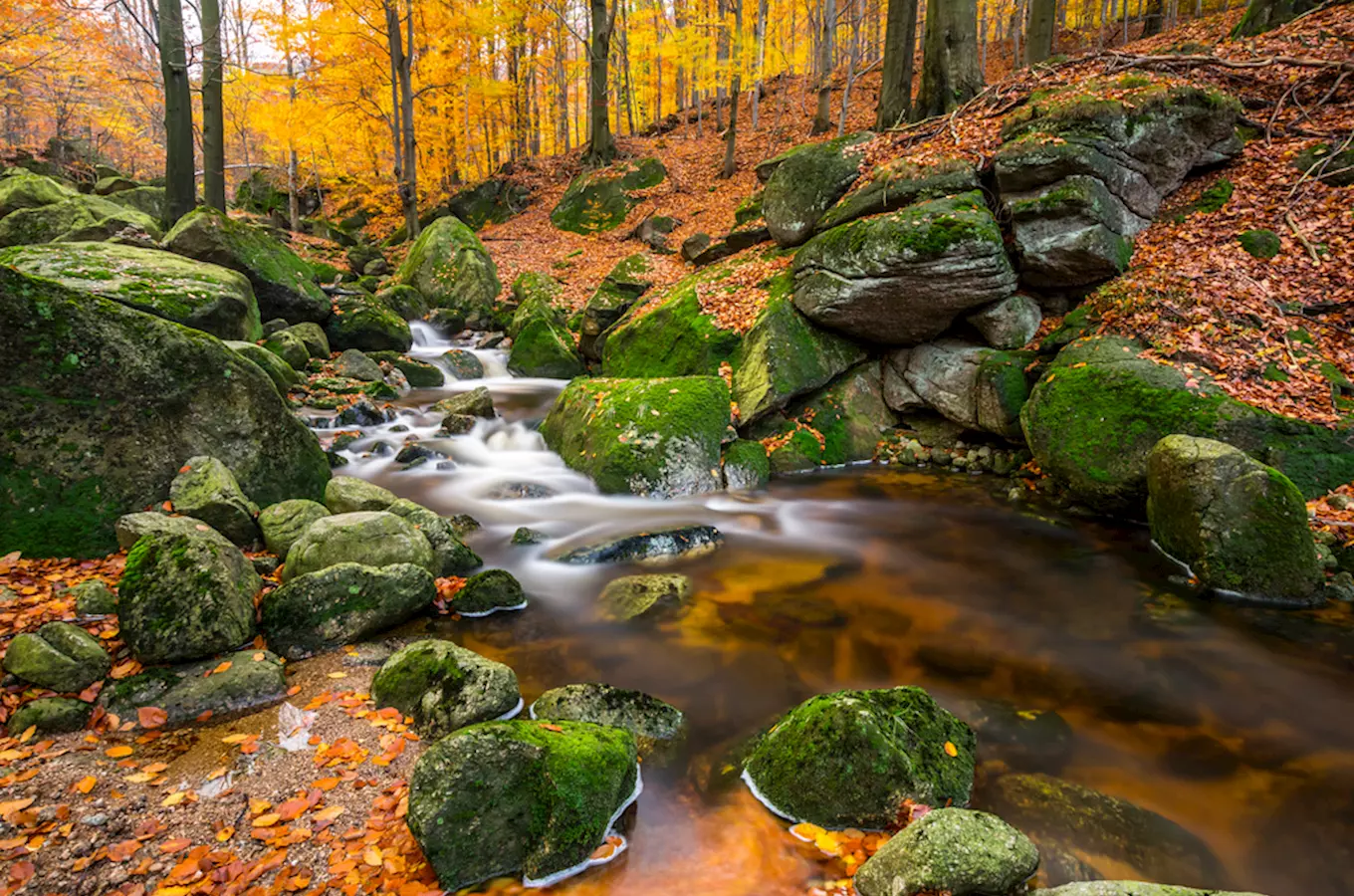 Kde je podzim nejkrásnější? Tipy pro milovníky fotografování a přírody 