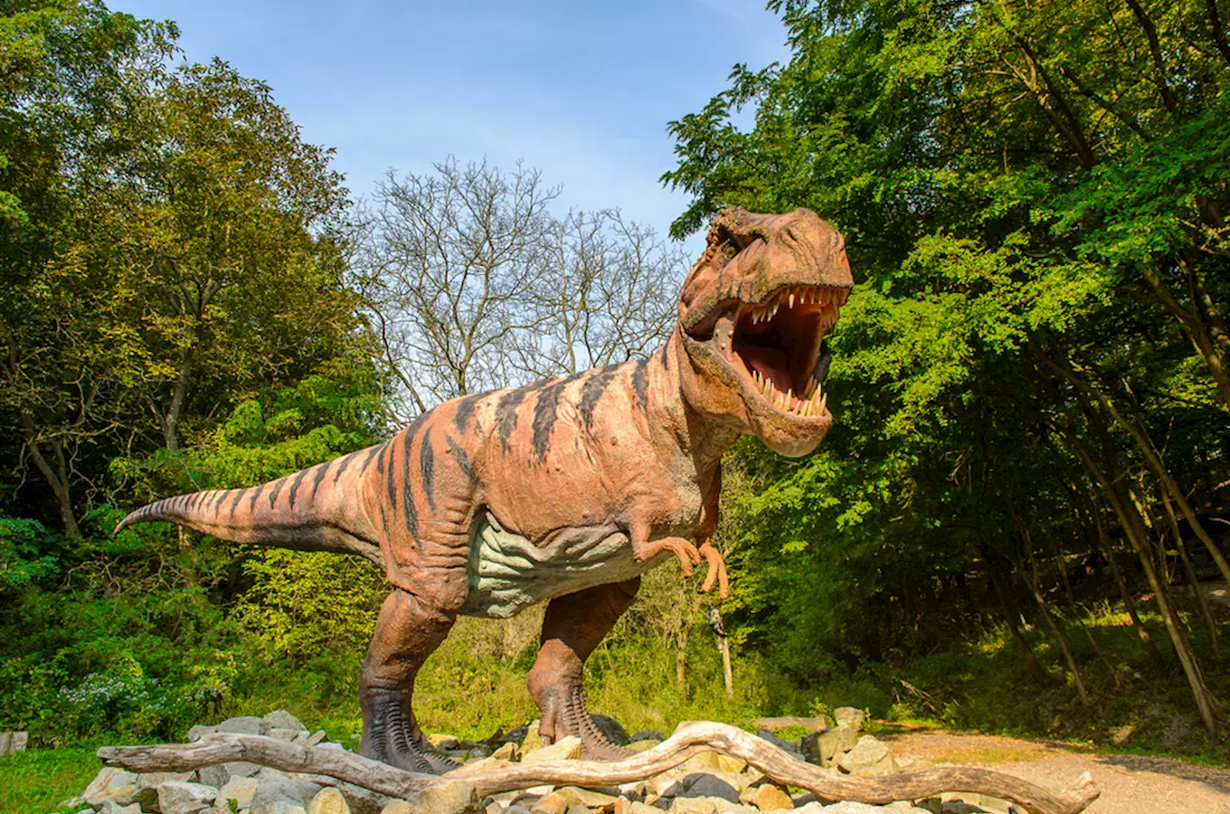 Sezóna dinosaurů je tady: aneb výlet za dinosaury do plzeňského Dinoparku