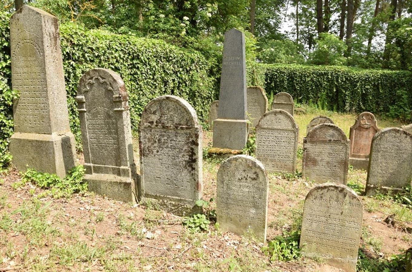 Židovský hřbitov na úbočí Kovářovské hůrky