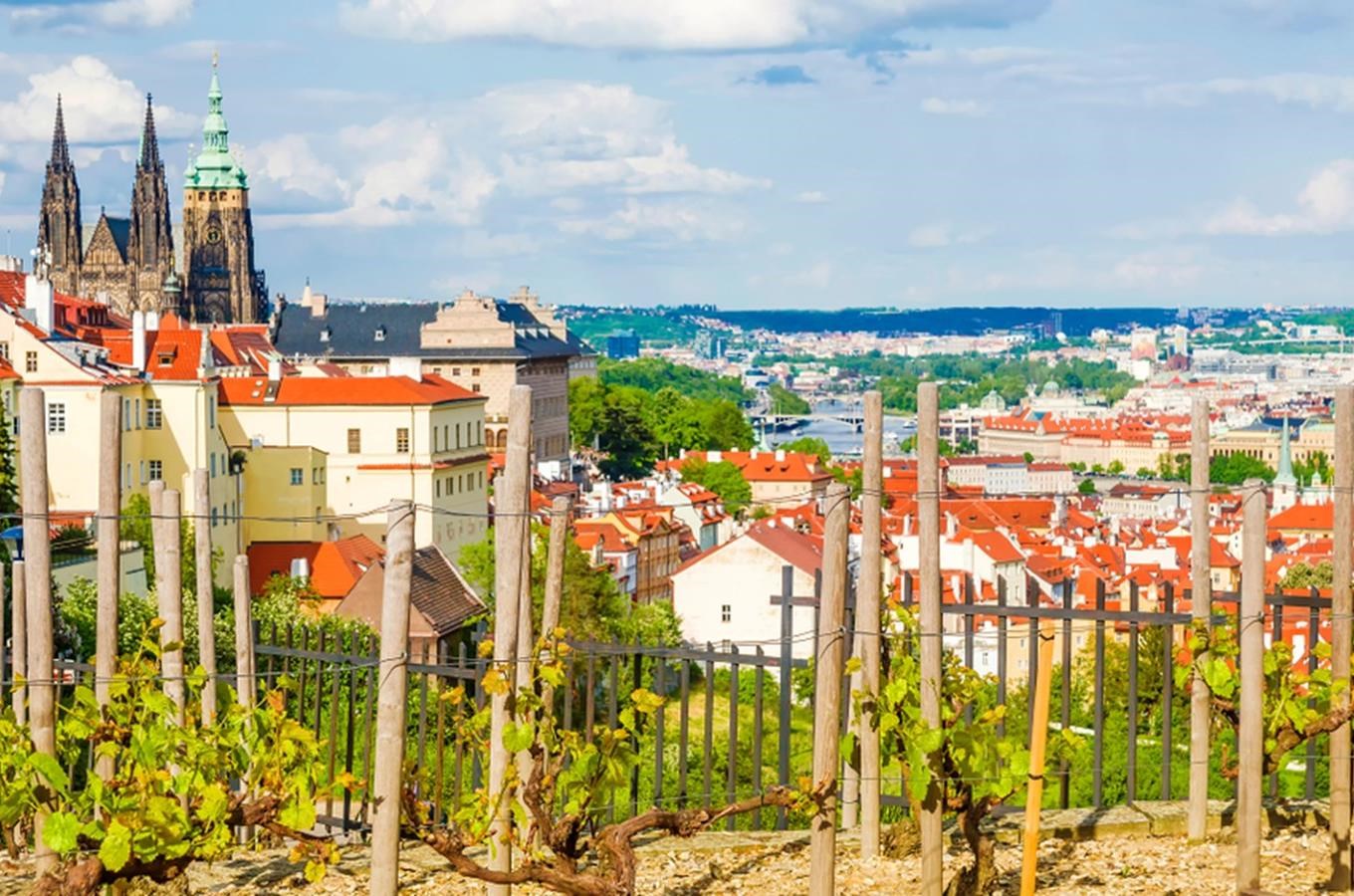 Při Vinobraní na Pražském hradě ochutnáte skvělá vína
