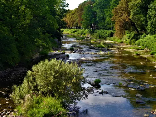 Řeka Olše – beskydský tok pramenící v Polsku