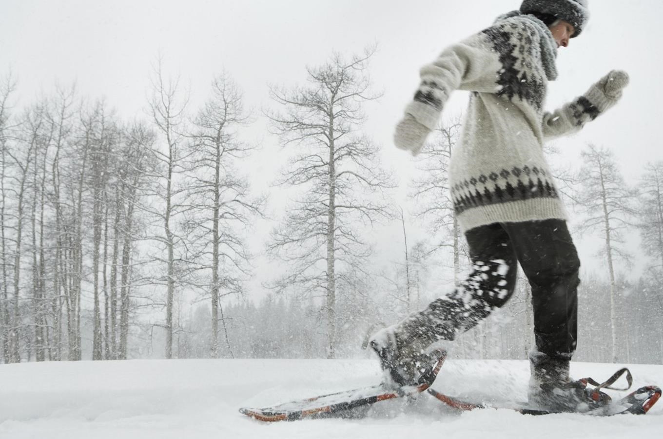 Snežnice se staly docela populární záležitostí pro ty, kterí nechtejí jezdit na lyžích, ale rádi by se prošli po loukách, kde je hodne snehu