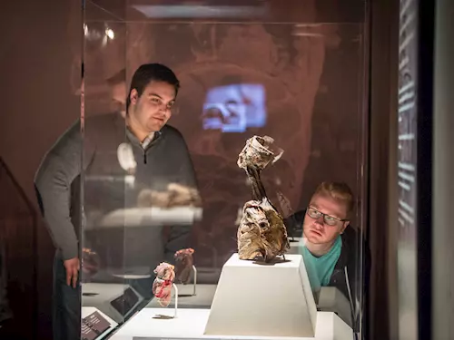 Mumie světa: evropská premiéra originální výstavy v Praze