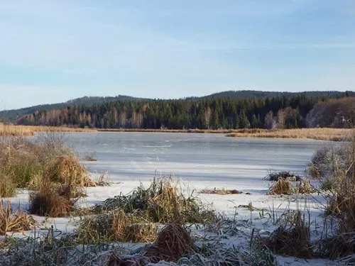 #světovéČesko, ledová dráha na Lipně a další tipy na skvělé bruslení ve městech, na řekách i jezerech