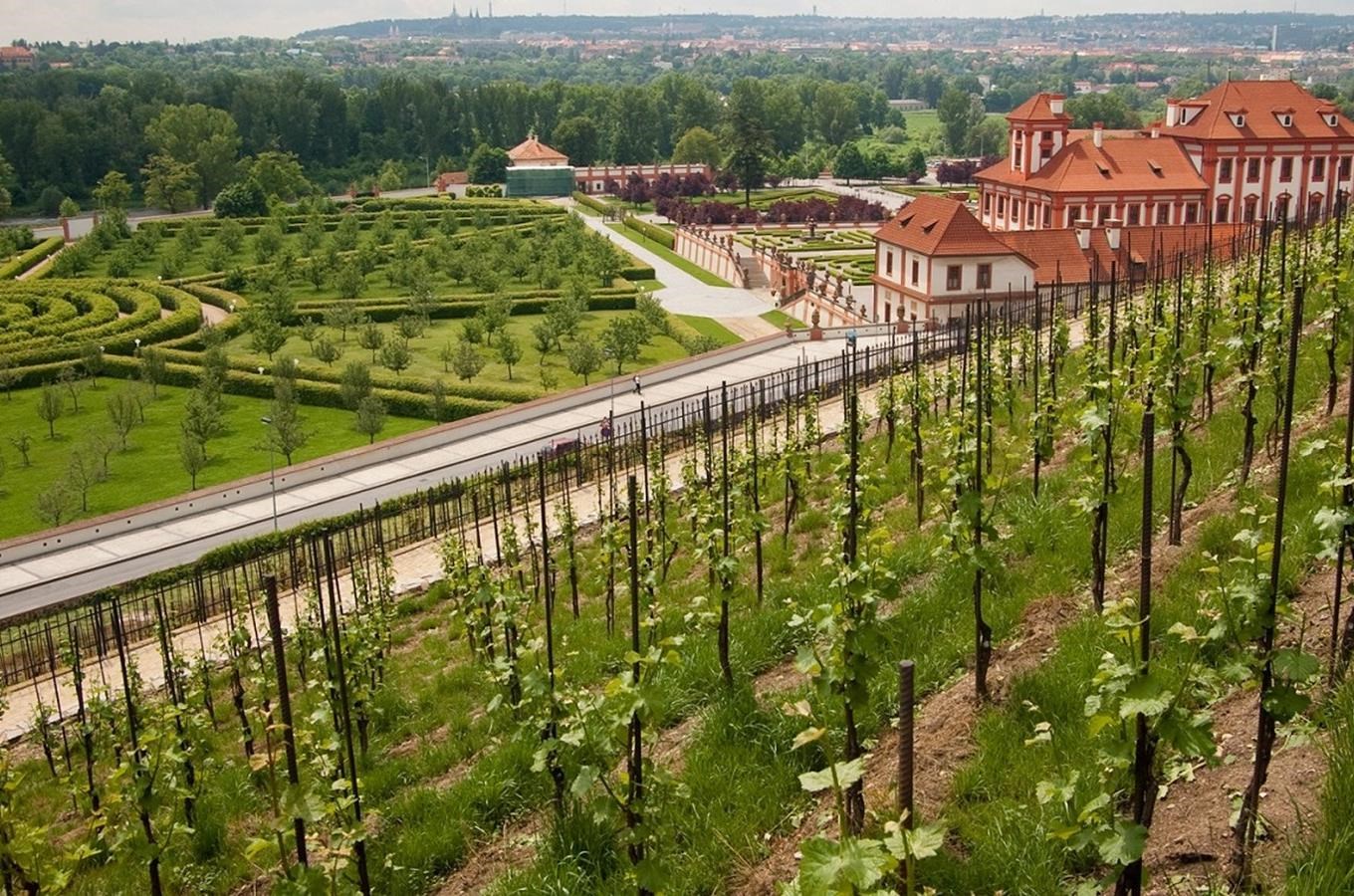 6 míst, kam za vínem v Čechách aneb Když je to na Moravu daleko