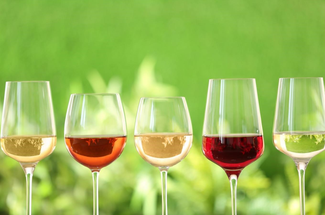 Kam letos na poslední vinobraní a slavnosti vína?