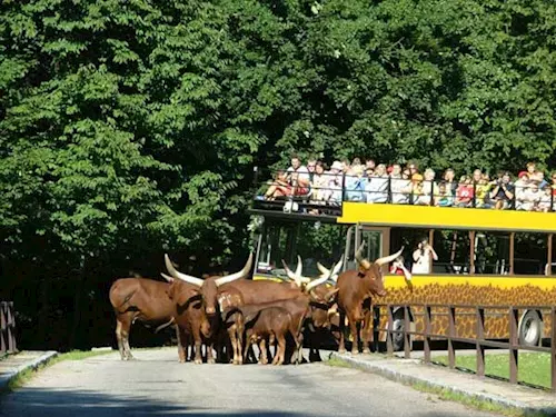 Zoo Dvur Králové nad Labem dnes zahajuje sezonu
