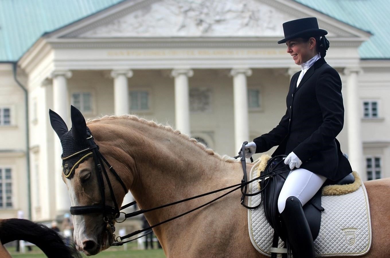 Koně na Kačině přinesou i letos zábavu nejen pro milovníky koní